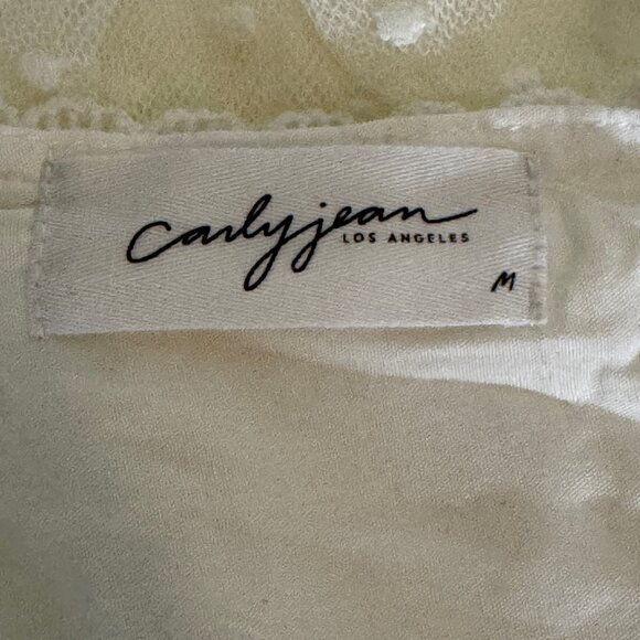 NWOT Carly Jean Los Angeles Ivory Lacy V-Neck Junie Dress Size Medium - Picture 3 of 15
